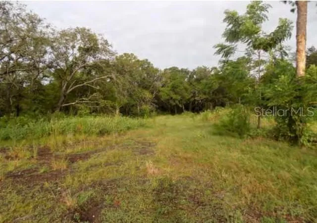 Photo 3 of Land for sale at 5001 Whippoorwill Dr, Holiday, FL 34690 | MLS# W7884728 | Listing updated on 2026-04-11