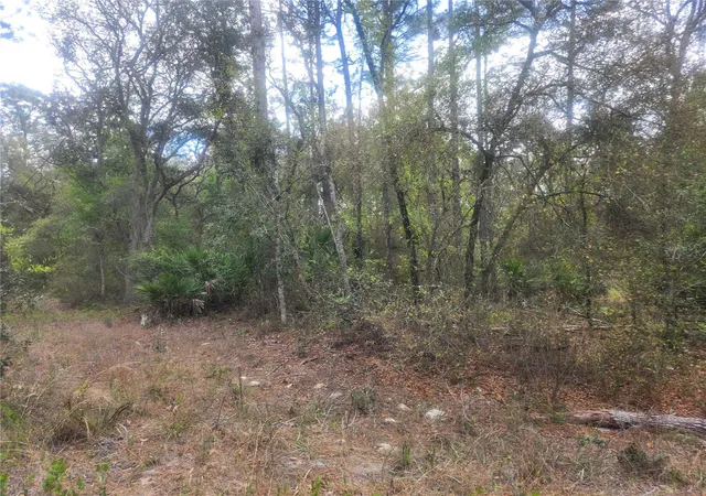 Photo 1 of Land for sale at 7446 Sw 151st Place, Dunnellon, FL 34432 | MLS# OM722570 | Listing updated on 2026-07-17