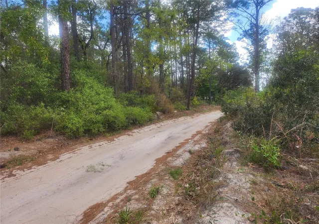 Photo 2 of Land for sale at 7446 Sw 151st Place, Dunnellon, FL 34432 | MLS# OM722570 | Listing updated on 2026-07-17