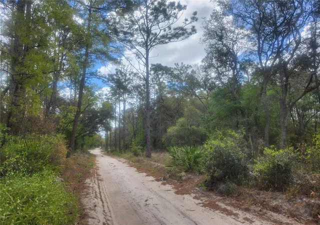 Photo 3 of Land for sale at 7446 Sw 151st Place, Dunnellon, FL 34432 | MLS# OM722570 | Listing updated on 2026-07-17
