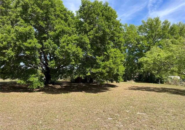 Homes for sale in Weirsdale, FL | 15121 Se 175Th St, Weirsdale, FL 32195 | MLS# G5110890