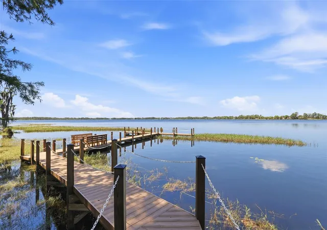 58th image of 9151 Point Cypress Dr, Orlando, FL 32836 | MLS# O6398328