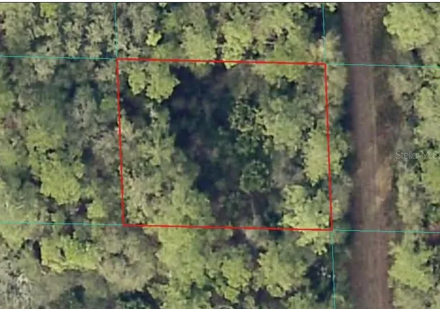 Photo 1 of Land for sale at 00 Ne 66th Court, Citra, FL 32113 | MLS# OM722600 | Listing updated on 2026-06-02