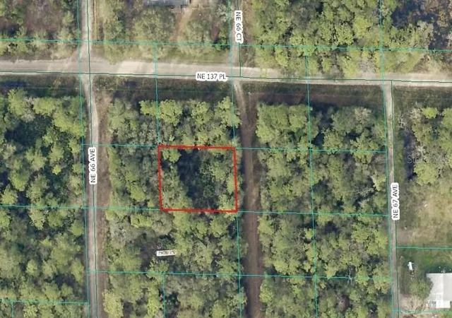 Photo 2 of Land for sale at 00 Ne 66th Court, Citra, FL 32113 | MLS# OM722600 | Listing updated on 2026-06-02