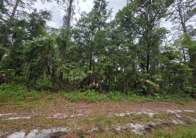 Photo 3 of Land for sale at 00 NE 66th Court, Citra, FL 32113 | MLS# OM722600 | Listing updated on 2026-06-02