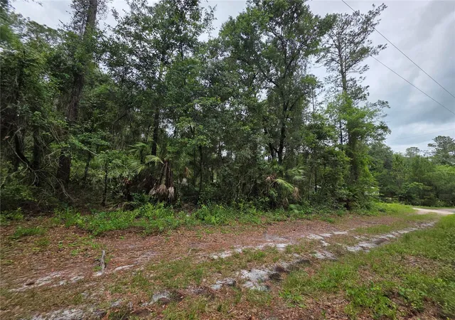 Photo 4 of Land for sale at 00 NE 66th Court, Citra, FL 32113 | MLS# OM722600 | Listing updated on 2026-06-02