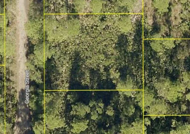 Homes for sale in Paisley, FL | Georgia St, Paisley, FL 32767 | MLS# O6398384