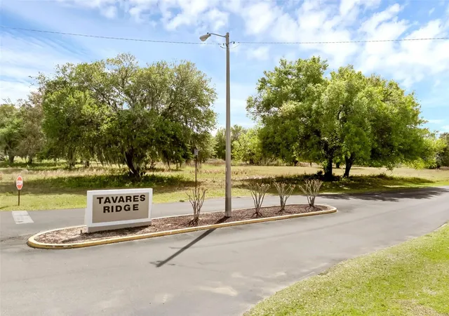 Homes for sale in Tavares, FL | 30213 Tavares Ridge Blvd #30213, Tavares, FL 32778 | MLS# O6398431