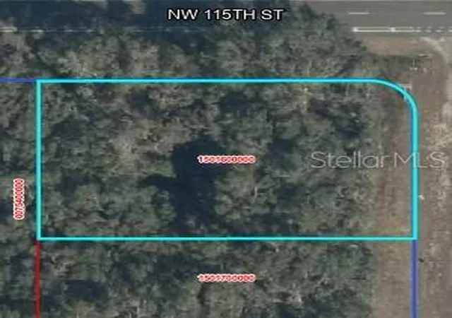 1st image of Nw 100 Ave, Reddick, FL 32686 | MLS# OM722655
