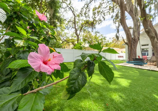 3rd image of 901 Virginia Ave, Tarpon Springs, FL 34689 | MLS# TB8497027