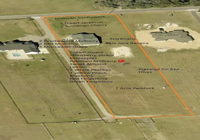 Photo 2 of Single family home for sale at 3063 English Rd, Plant City, FL 33567 | MLS# TB8497148 | Listing updated on 2026-09-24