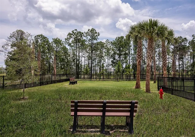 Homes for sale in Winter Garden, FL | 14788 Field Daisy Dr, Winter Garden, FL 34787 | MLS# O6398754