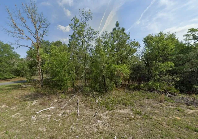 1st image of 1389 W Pendleton St, Dunnellon, FL 34434 | MLS# O6398788