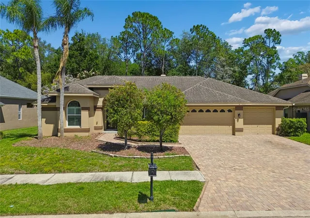 66th image of 4227 Auston Wy, Palm Harbor, FL 34685 | MLS# TB8497292