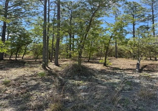 Homes for sale in Dunnellon, FL | Lot# 8 Sw Mineola Ln, Dunnellon, FL 34431 | MLS# O6398888