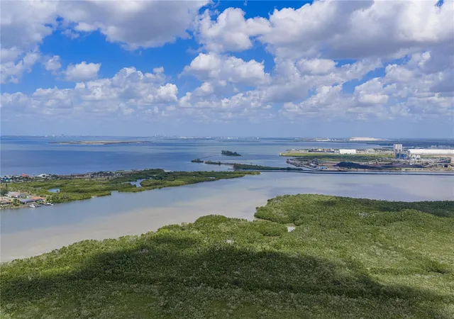 55th image of 906 Sago Palm Wy, Apollo Beach, FL 33572 | MLS# TB8497725