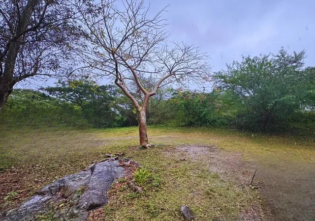 Homes for sale in Vieques, PR | Calle #10 Comm Monte Santo P-2, Vieques, PR 00765 | MLS# PR9120627