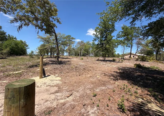 4th image of Tbd Sw 169Th Ct #18, Ocala, FL 34481 | MLS# OM722805