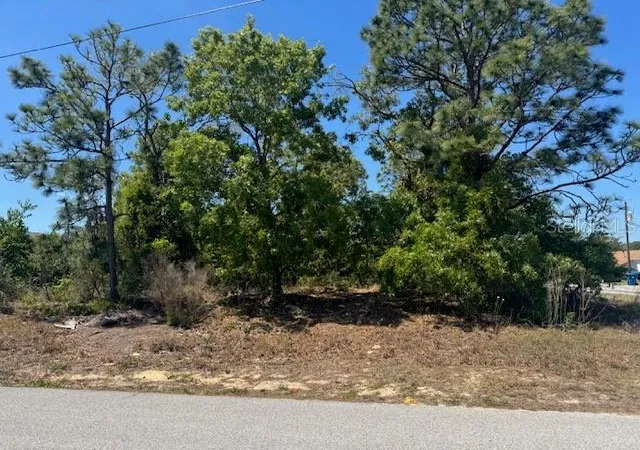 1st image of 11364 Patch St, Spring Hill, FL 34609 | MLS# W7884849