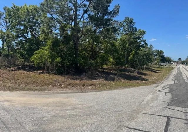 3rd image of 11364 Patch St, Spring Hill, FL 34609 | MLS# W7884849