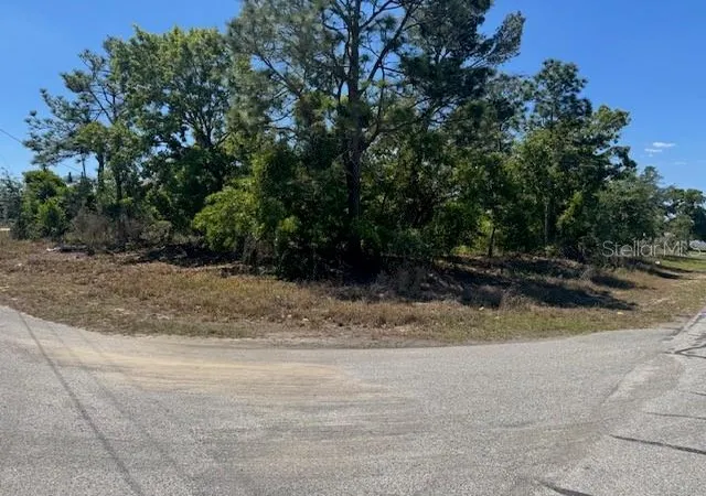 4th image of 11364 Patch St, Spring Hill, FL 34609 | MLS# W7884849