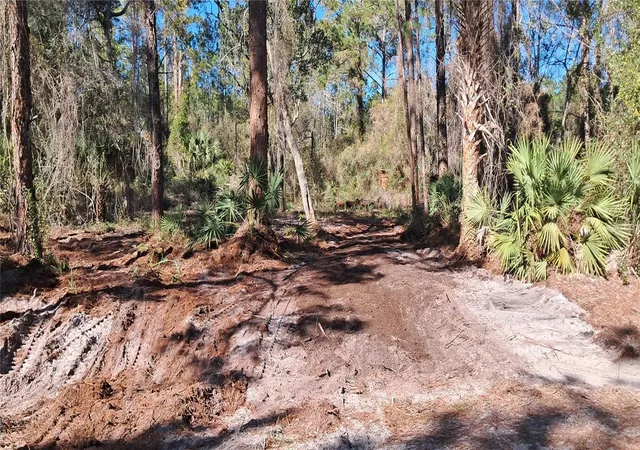 Photo 2 of Land for sale at 120 Gardenia Ave, Georgetown, FL 32139 | MLS# K4903413 | Listing updated on 2026-09-29