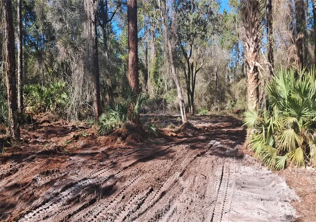 Photo 3 of Land for sale at 120 Gardenia Ave, Georgetown, FL 32139 | MLS# K4903413 | Listing updated on 2026-09-29