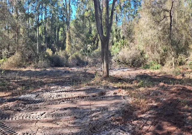 Photo 3 of Land for sale at 120 Gardenia Ave, Georgetown, FL 32139 | MLS# K4903413 | Listing updated on 2026-09-29