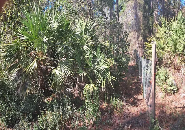 Photo 4 of Land for sale at 120 Gardenia Ave, Georgetown, FL 32139 | MLS# K4903413 | Listing updated on 2026-09-29