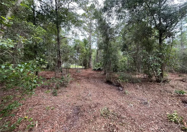 Photo 2 of Land for sale at 122 Glenside St, Georgetown, FL 32139 | MLS# K4903414 | Listing updated on 2026-09-29
