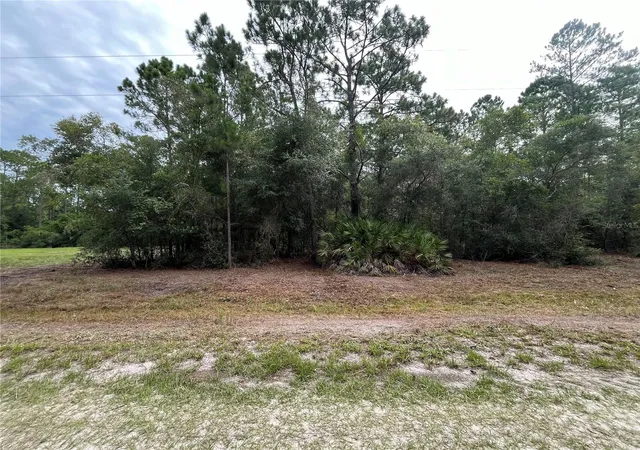 Photo 3 of Land for sale at 122 Glenside St, Georgetown, FL 32139 | MLS# K4903414 | Listing updated on 2026-09-29