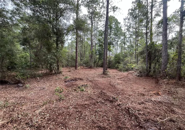 Photo 3 of Land for sale at 124 Glenside St, Georgetown, FL 32139 | MLS# K4903415 | Listing updated on 2026-09-29