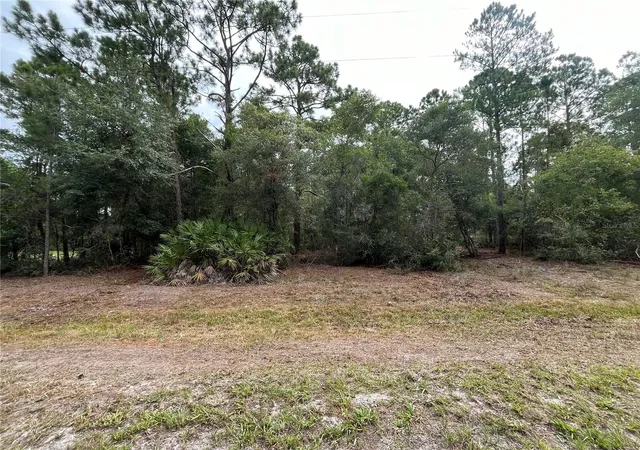 Photo 3 of Land for sale at 124 Glenside St, Georgetown, FL 32139 | MLS# K4903415 | Listing updated on 2026-09-29