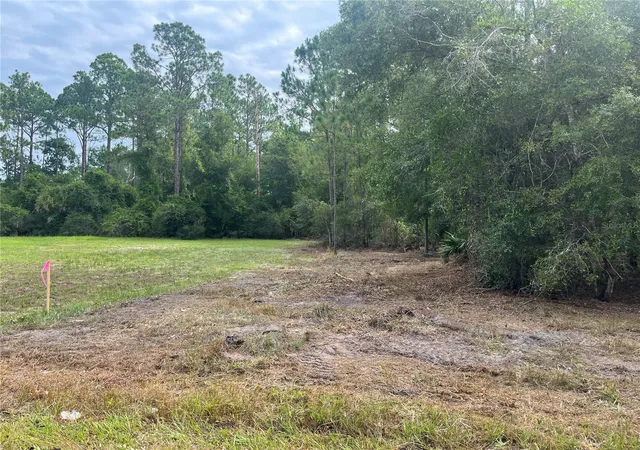 Photo 4 of Land for sale at 124 Glenside St, Georgetown, FL 32139 | MLS# K4903415 | Listing updated on 2026-09-29