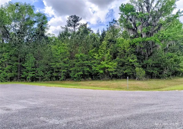 Photo 3 of Land for sale at 14095 Nw 141st Avenue, Williston, FL 32696 | MLS# OM722823 | Listing updated on 2026-08-26
