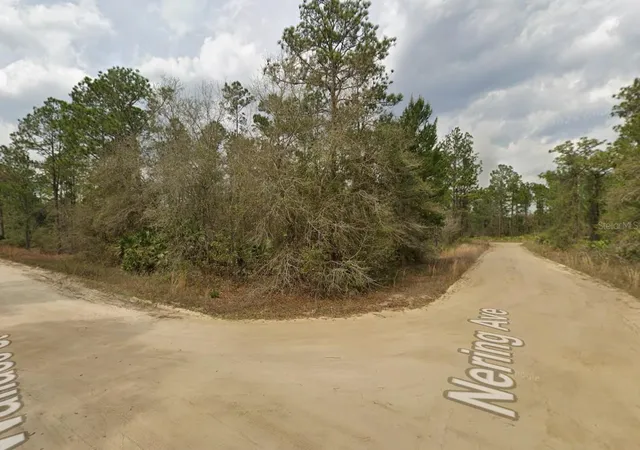 Photo 1 of Land for sale at Lot 18 Wallace St, Interlachen, FL 32148 | MLS# K4903417 | Listing updated on 2026-07-22
