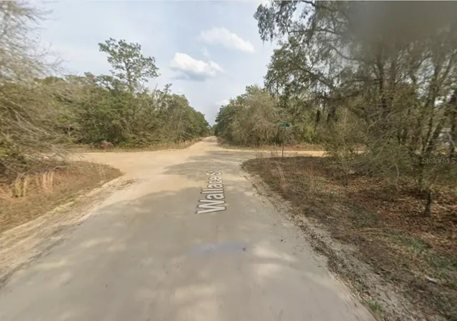 Photo 2 of Land for sale at Lot 18 Wallace St, Interlachen, FL 32148 | MLS# K4903417 | Listing updated on 2026-07-22