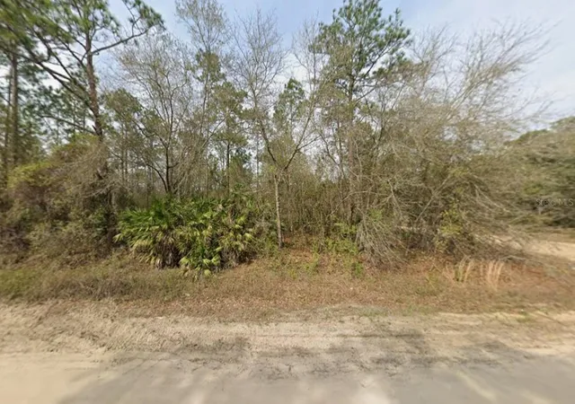 Photo 3 of Land for sale at Lot 18 Wallace St, Interlachen, FL 32148 | MLS# K4903417 | Listing updated on 2026-07-22