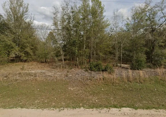 Photo 1 of Land for sale at Lot 15 Marion Ave, Interlachen, FL 32148 | MLS# K4903419 | Listing updated on 2026-07-22