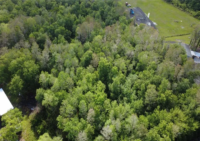 3rd image of 0 Doe Dr, Saint Cloud, FL 34772 | MLS# O6399377