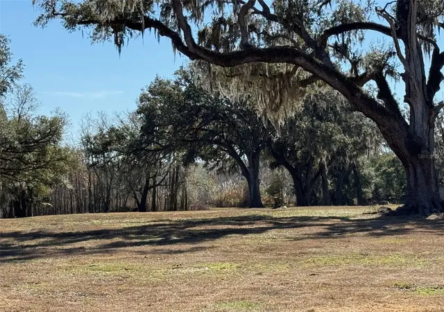 Photo 3 of Land for sale at 37214 Hester Rd, Dade City, FL 33525 | MLS# TB8498014 | Listing updated on 2026-04-16