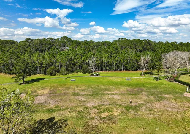 62nd image of 3481 Middlebrook Pl, Harmony, FL 34773 | MLS# S5147896