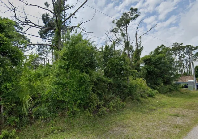 Photo 3 of Land for sale at 12519 Patsy Ave, Port Charlotte, FL 33981 | MLS# D6147080 | Listing updated on 2026-09-02