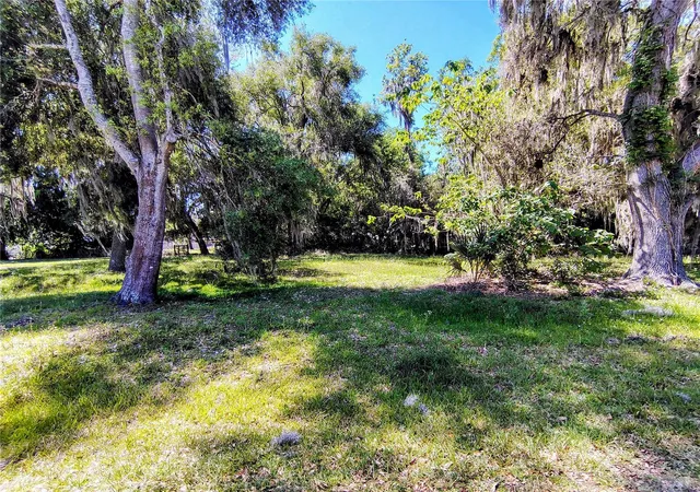 Homes for sale in Lake Panasoffkee, FL | Cr 457, Lake Panasoffkee, FL 33538 | MLS# G5111112