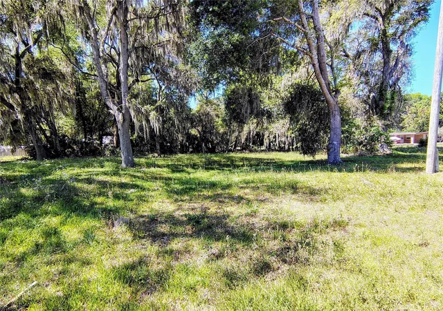 Homes for sale in Lake Panasoffkee, FL | Cr 457, Lake Panasoffkee, FL 33538 | MLS# G5111112
