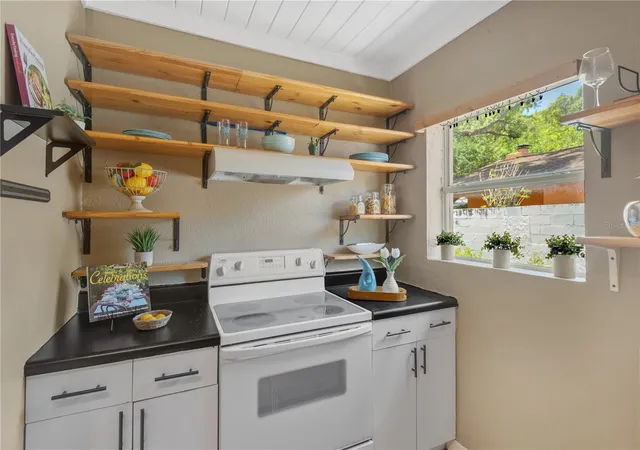 5th image of 1315 E Osborne Ave, Tampa, FL 33603 | MLS# TB8498547