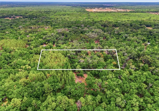Photo 3 of Land for sale at 7911 SW 131st Terrace, Archer, FL 32618 | MLS# GC539538 | Listing updated on 2026-09-23