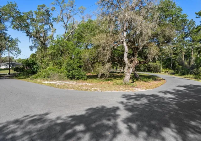 Homes for sale in Dade City, FL | 5043 Cardinal Dr, Dade City, FL 33523 | MLS# W7884927