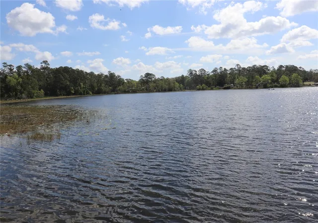 46th image of 1112 Ne 130 Ter, Silver Springs, FL 34488 | MLS# OM722992