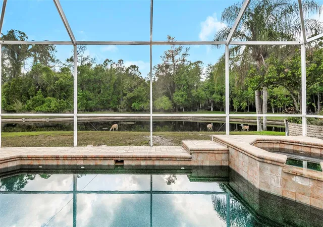 3rd image of 4152 Grandchamp Cir, Palm Harbor, FL 34685 | MLS# TB8498897